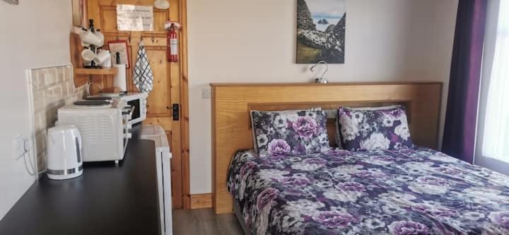 Skellig View Harbour View Sunrise Apartment Portmagee Exteriör bild
